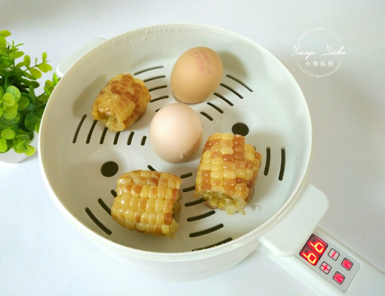 营养减肥食谱三餐_减肥食谱营养搭配_减肥食谱营养搭配一日三餐
